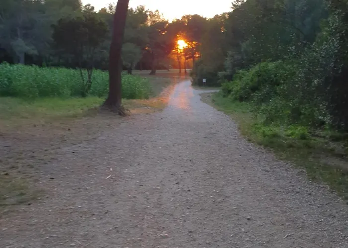 Atypique, Cabanon Bord De Nyaraló *
